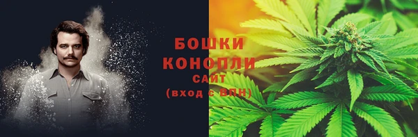 2c-b Богородицк