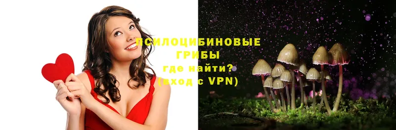 Псилоцибиновые грибы Magic Shrooms  Курган 